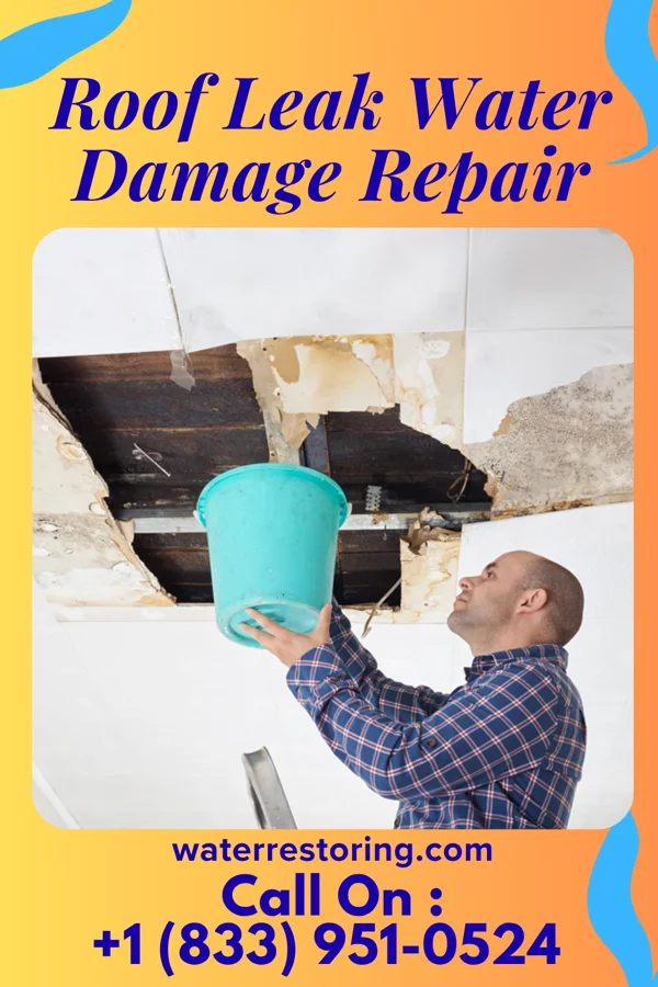 Roof Leak Water Damage Repair in Watauga, TN