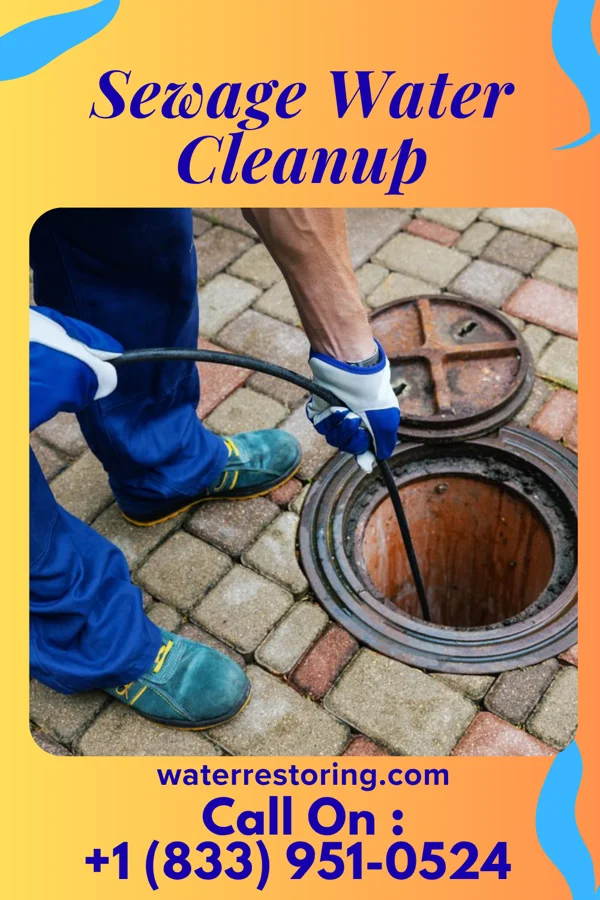 Sewage Water Cleanup in Watauga, TN
